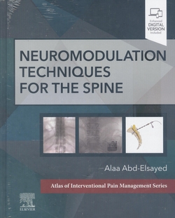 Neuromodulation techniques for the spine