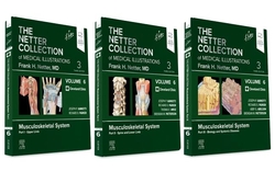(3VOL).MUSCULOSKELETAL SYSTEM PACKAGE.NETTER COLLECTION