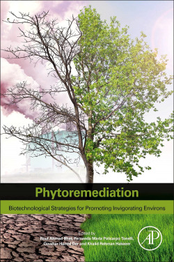 PHYTOREMEDIATION.BIOTECHNOLOGICAL STRATEGIES PROMOTING
