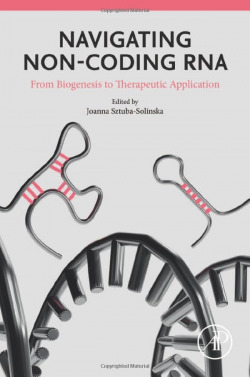 Navigating non-coding rna:from biogenesis to therapeutic