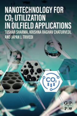 Nanotechnology for co2 utilization in oilfield applications