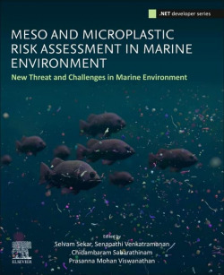 Meso and microplastick risk assessment marine environment