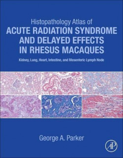 Histopathology atlas of acute radiation syndrome delayed