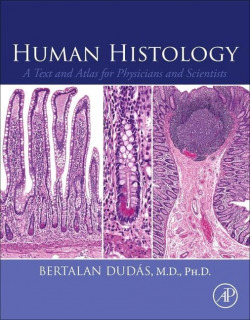 Human histology