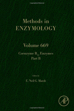 Coenzyme b12 enzymes part b