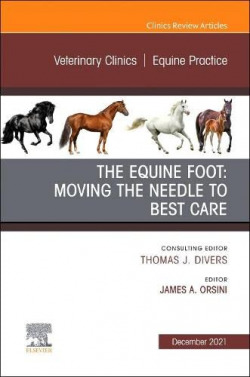 The equine foot:moving the needle to best care