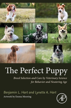 The perfect puppy