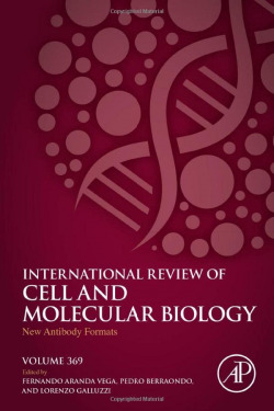 New antibody formats
