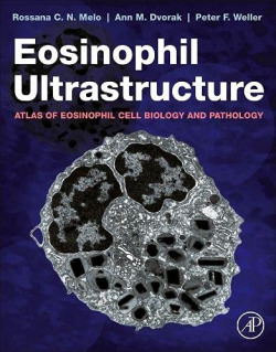 Eosinophil ultrastructure:atlas of eosinophil cell biology