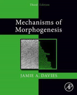 Mechanisms of morphogenesis