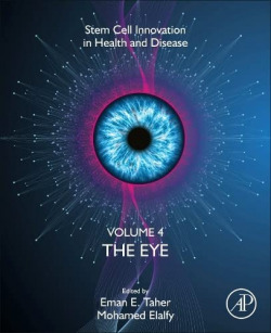 The eye