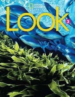 Look AmE Level 3 Reading Anthology