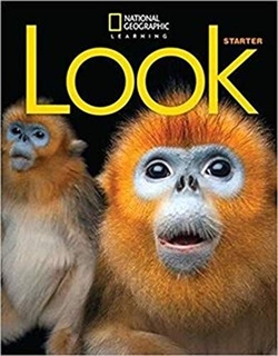 Look Starter BrE Flashcards