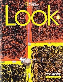 Look AmE Level 5 Workbook and Spark