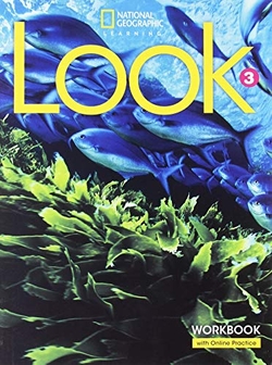Look AmE Level 3 Workbook and Spark