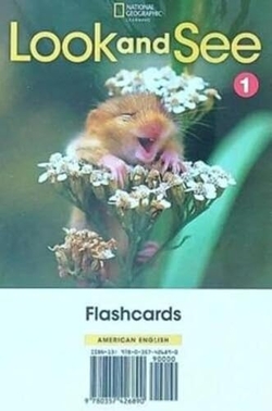 Look and See Level 1 AmE Flashcards