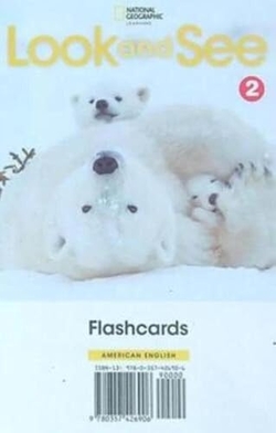Look and See Level 2 AmE Flashcards