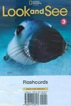 Look and See Level 3 AmE Flashcards