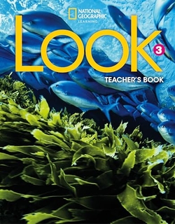 Look AmE Teacher's Book Level 3