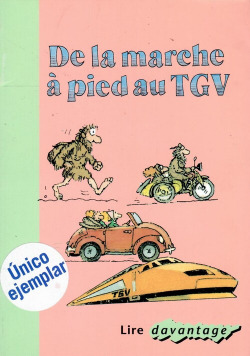 Dela marche pied au tgv/intermd