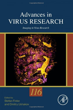 Imaging in virus research