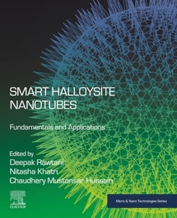 Smart Halloysite Nanotubes
