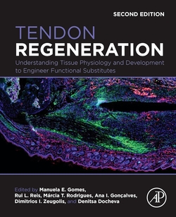TENDON REGENERATION
