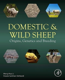 Domestic and Wild Sheep