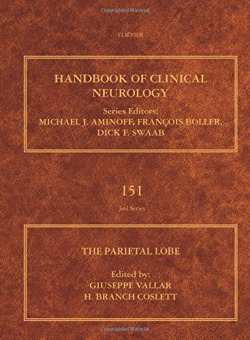 The Parietal Lobe