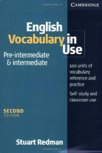 (+KEY-CD).ENG.VOCABULARY IN USE:PRE-INTERM.-INTERMEDIATE