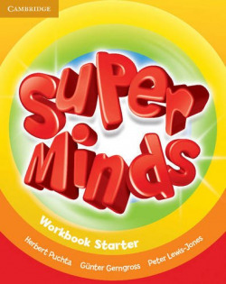 Super minds start workbook