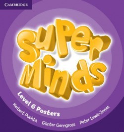 Super Minds 6 Posters