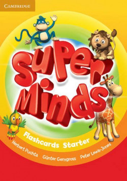 Super Minds Start Sb Flashcards
