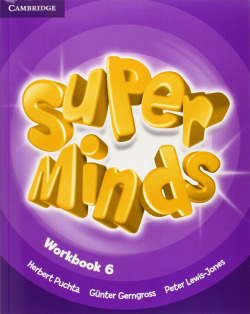 Super minds 6