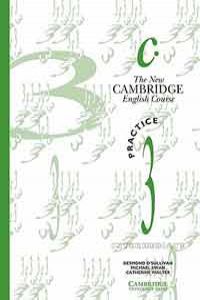 NEW CAMBRIDGE E.COURSE 3 WB