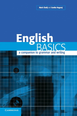 ENGLISH BASICS.COMPANION GRAMMAR AND WRITING