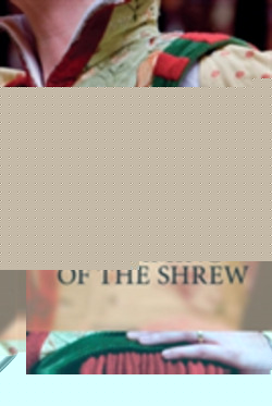 Ncs Taming Of Shrew 2Ed