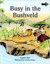 Busy In Bushveld Sa Ed Pb