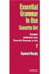 DESCAT/(K7).E SSENTIAL G RAMMAR IN U SE (2).EXAMPLE SENTENCE