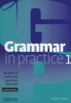 GRAMMAR IN PRACTICE 1.(WITH TESTS)