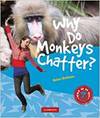 Why Do Monkeys Chatter? Pb