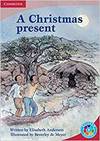 Rainbow Read Level 5 - What'S Plot? A Christmas Present Box