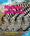 Rainbow Read Level 5 - Pattern: Patterns In Nature Box B