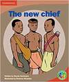 Rainbow Read Level 4 - People: New Chief Box A