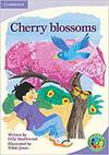 Rainbow Read Level 4 - Festivals: Cherry Blossoms Box B