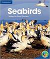 Rainbow Read Level 4 - Life And Living: Seabirds Box C