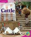 Rainbow Read Level 4 - Life And Living: Cattle Box C
