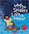Why Do Spiders Live In Webs? Pb