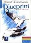 BLUEPRINT INTERMEDIATE TESTS