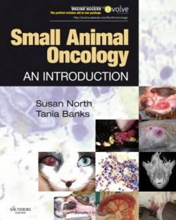 Small Animal Oncology